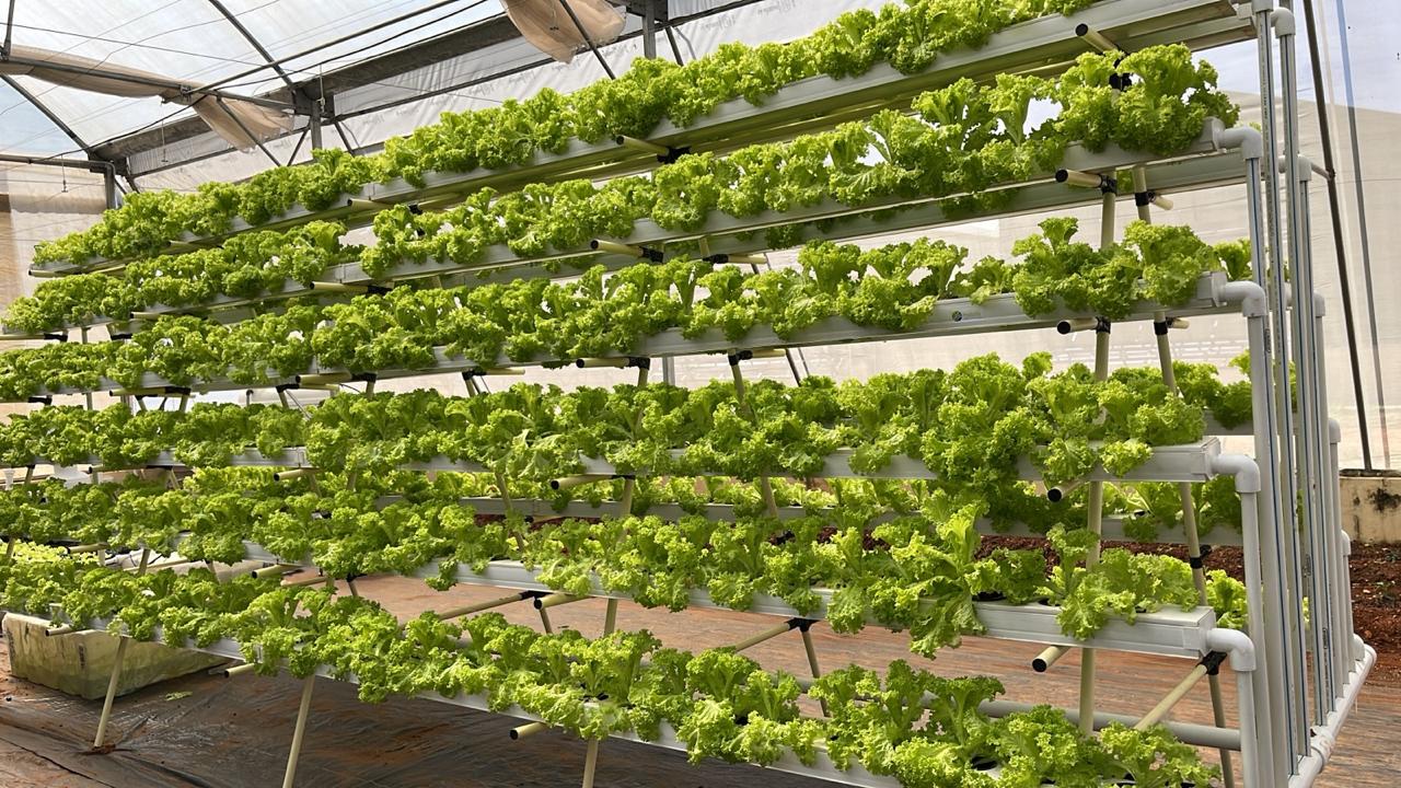 Mr. Bharath - Urban Farming