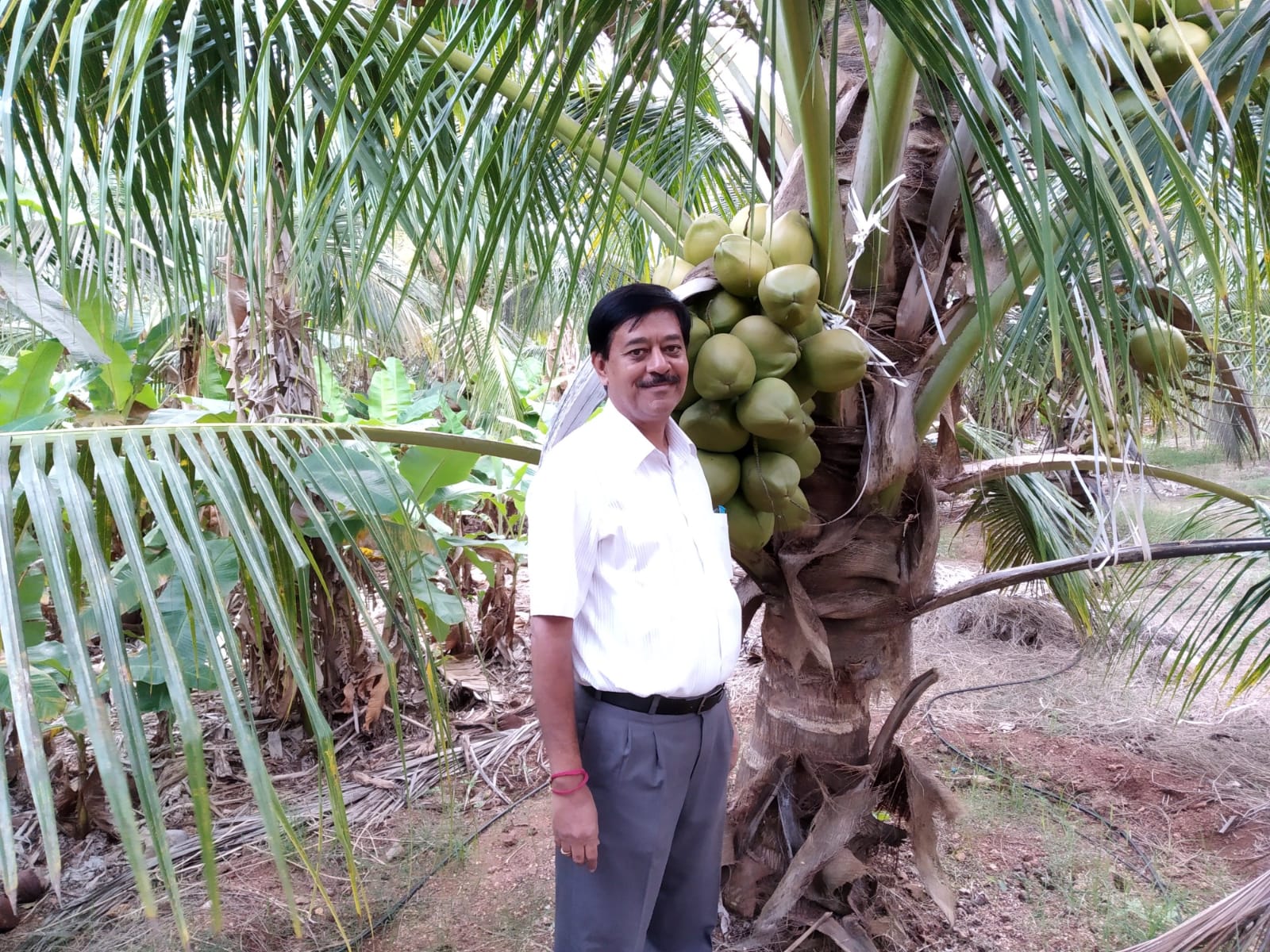 Dr. Vijay Kumar Hallikeri